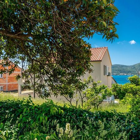 Korta Apartments Viganj Εξωτερικό φωτογραφία